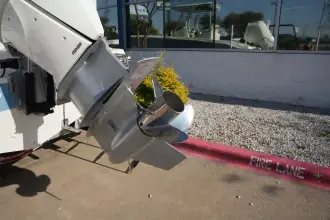 Thumbnail von Boston Whaler 250 Dauntless