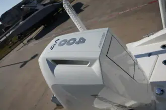 Thumbnail von Boston Whaler 250 Dauntless