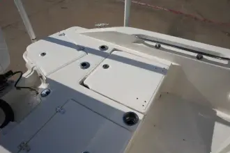Thumbnail von Boston Whaler 250 Dauntless
