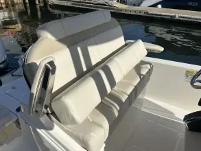 Thumbnail von Boston Whaler 250 Dauntless