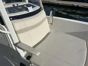 Thumbnail von Boston Whaler 250 Dauntless