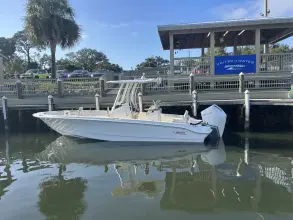 Thumbnail von Boston Whaler 250 Dauntless