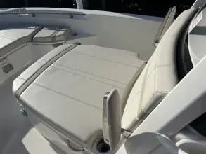 Thumbnail von Boston Whaler 250 Dauntless