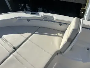 Thumbnail von Boston Whaler 250 Dauntless
