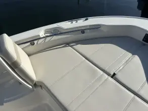 Thumbnail von Boston Whaler 250 Dauntless