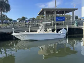 Thumbnail von Boston Whaler 250 Dauntless