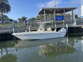 Thumbnail von Boston Whaler 250 Dauntless