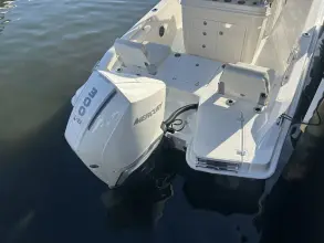 Thumbnail von Boston Whaler 250 Dauntless