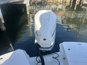 Thumbnail von Boston Whaler 250 Dauntless