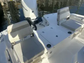 Thumbnail von Boston Whaler 250 Dauntless