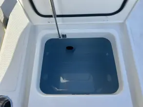 Thumbnail von Boston Whaler 250 Dauntless