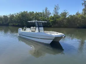 World Cat 235 TE