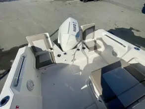 Thumbnail von Boston Whaler 210 Vantage