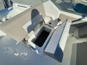 Thumbnail von Boston Whaler 210 Vantage