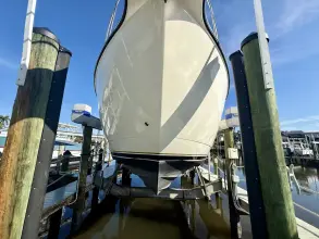 Thumbnail von Tiara Yachts 3500 Sovran