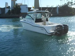 Thumbnail von Boston Whaler 315 Conquest