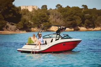 Thumbnail von Sea Ray SPX 210