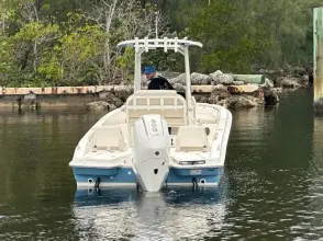 Thumbnail von Boston Whaler 250 Dauntless