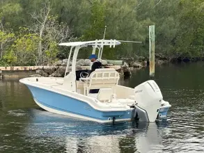 Thumbnail von Boston Whaler 250 Dauntless