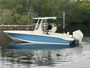 Thumbnail von Boston Whaler 250 Dauntless