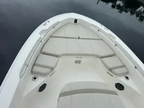 Thumbnail von Boston Whaler 250 Dauntless