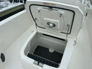 Thumbnail von Boston Whaler 250 Dauntless
