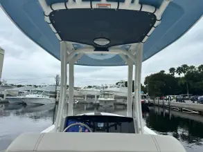 Thumbnail von Boston Whaler 250 Dauntless