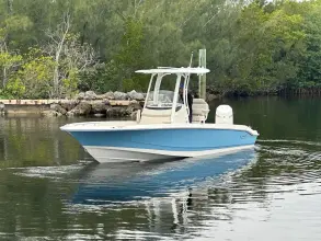 Thumbnail von Boston Whaler 250 Dauntless