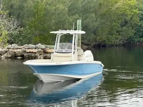 Thumbnail von Boston Whaler 250 Dauntless