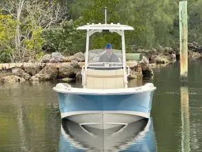 Thumbnail von Boston Whaler 250 Dauntless