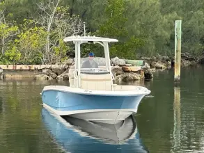 Thumbnail von Boston Whaler 250 Dauntless