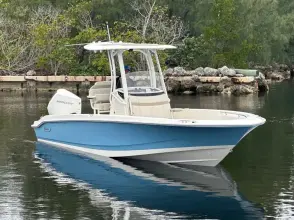 Thumbnail von Boston Whaler 250 Dauntless