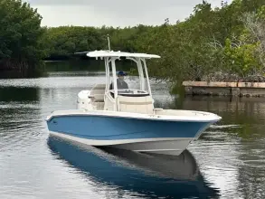 Thumbnail von Boston Whaler 250 Dauntless