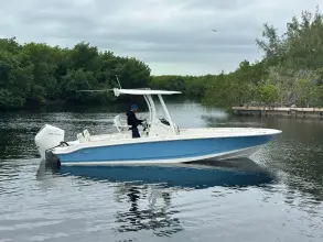 Thumbnail von Boston Whaler 250 Dauntless