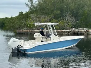 Thumbnail von Boston Whaler 250 Dauntless