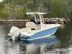 Thumbnail von Boston Whaler 250 Dauntless