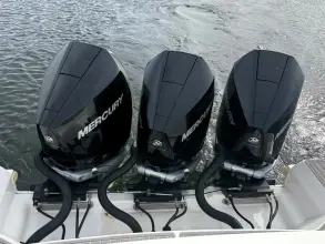 Thumbnail von Sea Ray 320 Sundancer