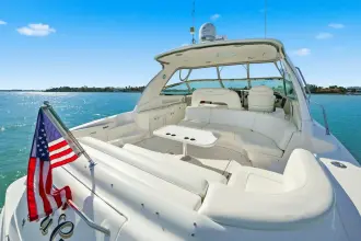 Thumbnail von Sea Ray 460 Sundancer Life Is Good