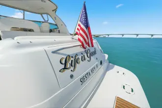Thumbnail von Sea Ray 460 Sundancer Life Is Good