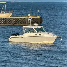 Boston Whaler 315 Conquest FORTUNATE SON