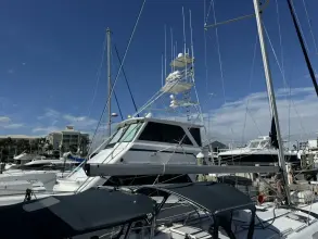Thumbnail von Viking 58 Convertible Sécone