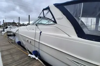 Thumbnail von Sea Ray 460 Sundancer Irish Rover