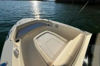Thumbnail von Scout 188 Sportfish