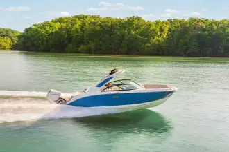 Thumbnail von Sea Ray SDX 230 Outboard