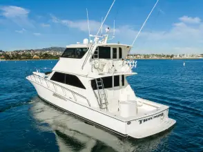 Thumbnail von Viking 58 Enclosed Bridge