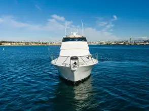Thumbnail von Viking 58 Enclosed Bridge