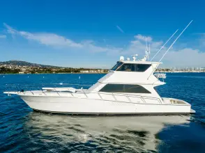 Thumbnail von Viking 58 Enclosed Bridge