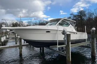 Thumbnail von Tiara Yachts 3000 Open