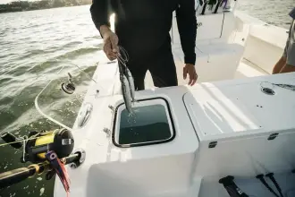 Thumbnail von Sea Hunt Gamefish 27 FS