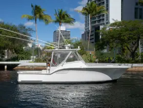Thumbnail von Out Island SeaTek 36 Express Never Enough